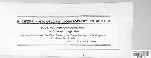 Puccinia ormosiae image